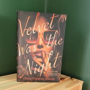 Velvet Was the Night Book